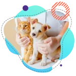 clinica-de-pequenos-animais